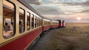 Durban Safari luxury train journey